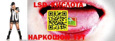 амф Донской