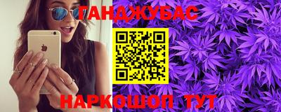 амф Донской